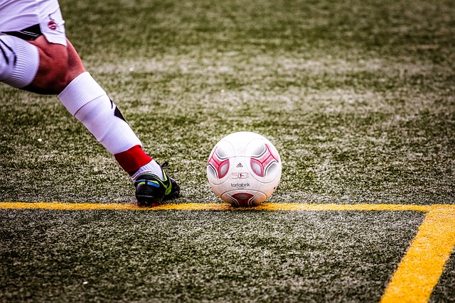 我们也要 我们也要