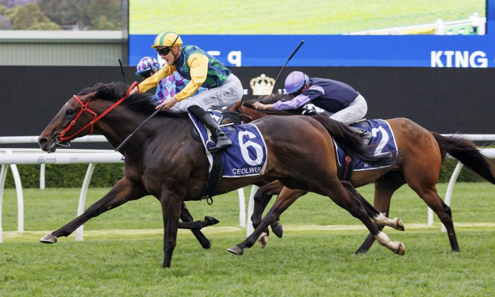 也曾爆冷 也曾爆冷