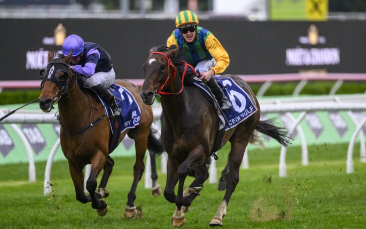 是来自世界 是来自世界